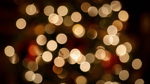 A little Christmas bokeh