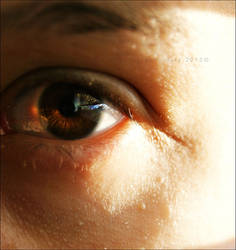 Looking Back at It All