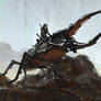 Hercules Beetle