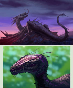 Purple Dragons