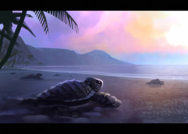 Explore the Best Turtle Art | DeviantArt