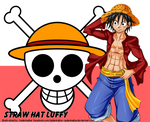 Fan Art : Straw Hat Luffy