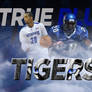 True Blue Tigers Wallpaper