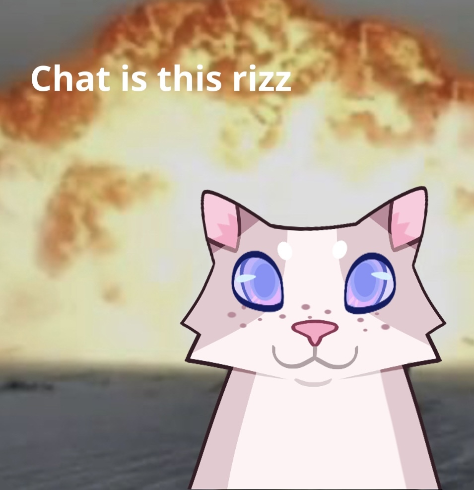 Chat is this rizz????? by J3llyDoughnut on DeviantArt