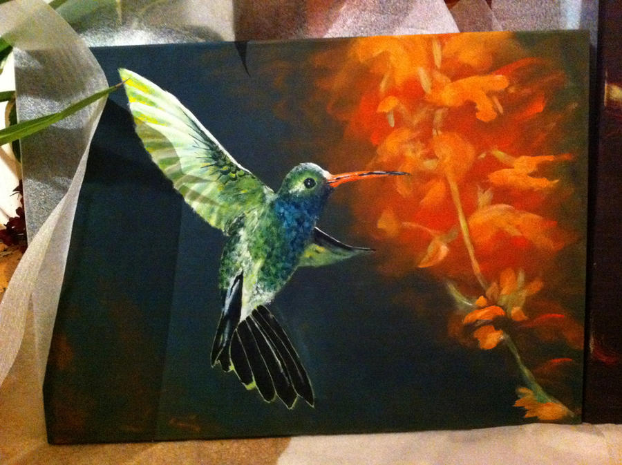 Kolibri / hummingbird