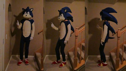 Sonic The Hedgehog Fursuit/Cosplay by InternetTails