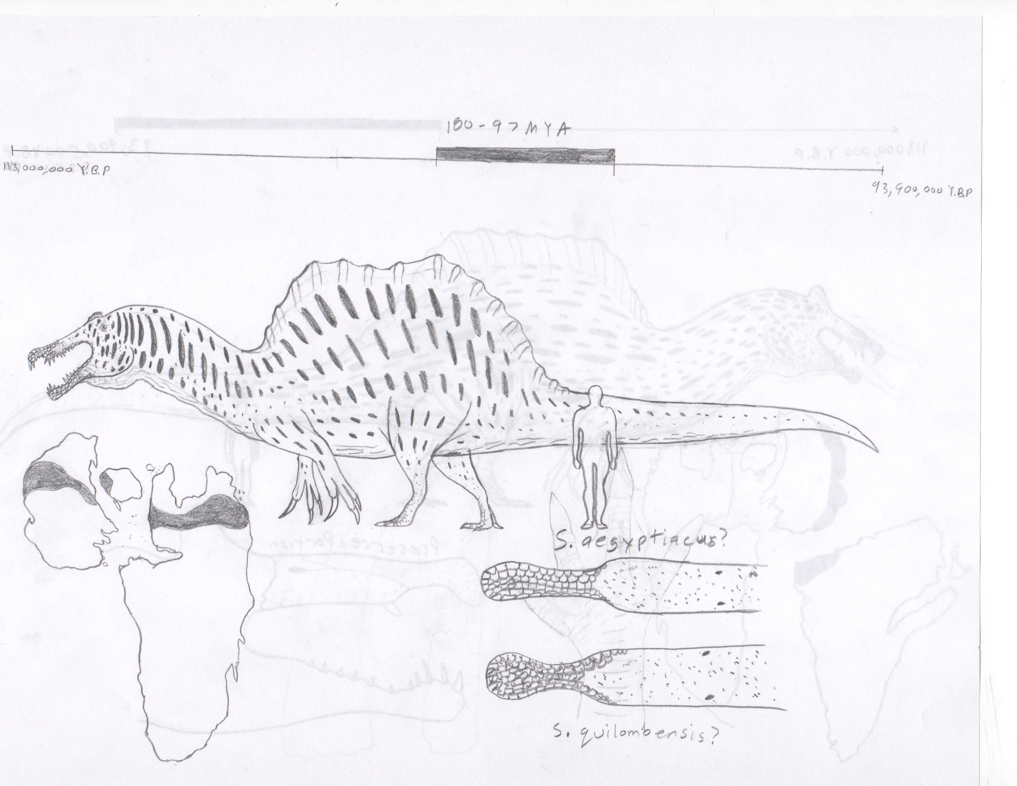 Creatures of Albian-Cenomanian North Africa: P.T 2