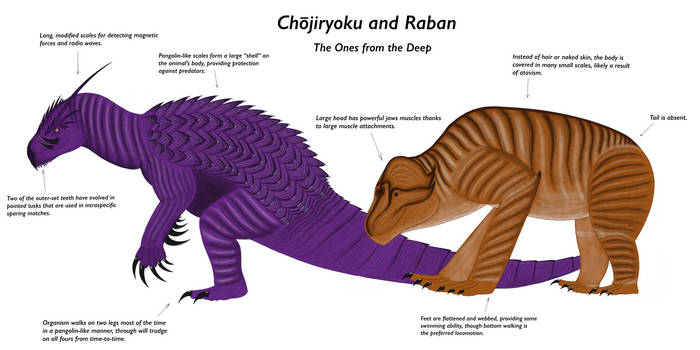 Chacha Raban Explore the Best Raban Art | DeviantArt