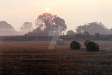 Suffolk Countryside near RAF Lakenheath (1), UK