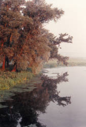 Suffolk Countryside near RAF Lakenheath (2), UK