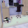 Hiki room 2