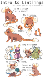 Introduction To Lintlings (A Closed Species) by Pillowing-Archive