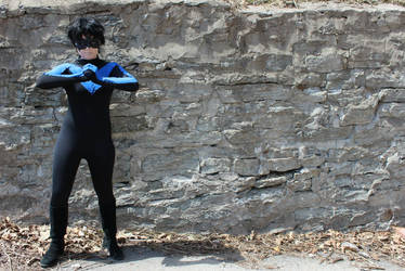 Nightwing: I'm gonna punch someone...