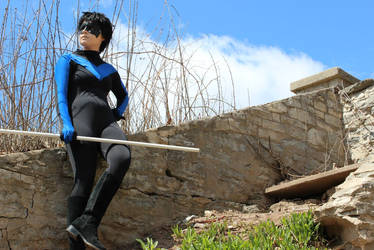 Nightwing: Blue bird, Blue sky