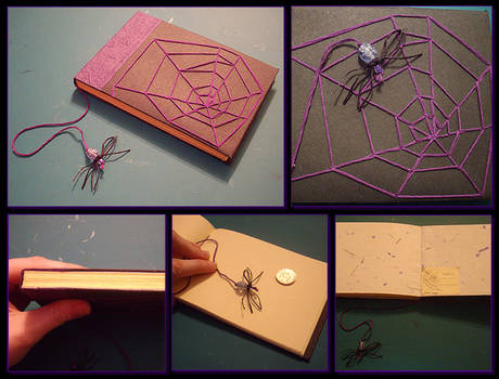 Spider book
