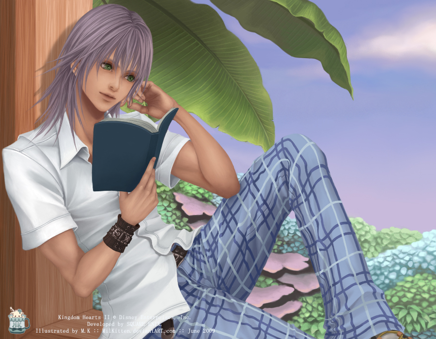 0609 KH2 - Riku