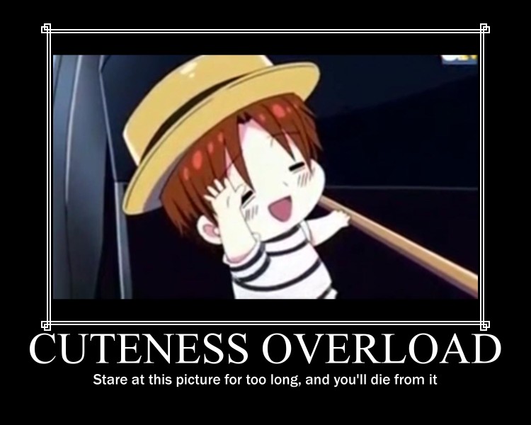 cuteness overload by nobleza104 on DeviantArt cuteness overload by nobleza104 on DeviantArt