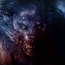 FRIGHT NIGHT : EVIL ED WEREWOLF  1C