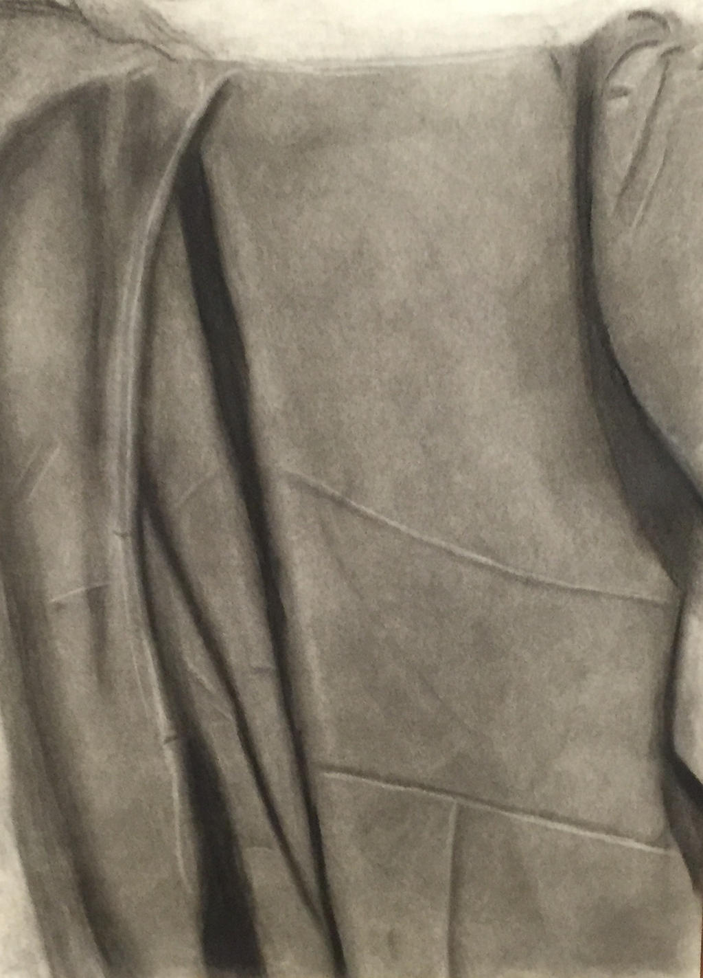 Fabric Study in Charcoal