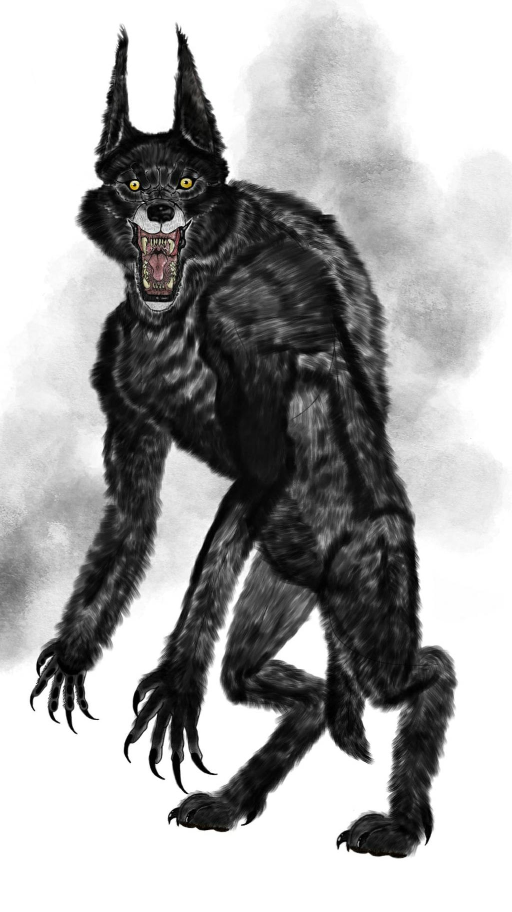 Dogman Rune The Dogman by MPGamesMC on DeviantArt