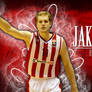 Jaka Blazic