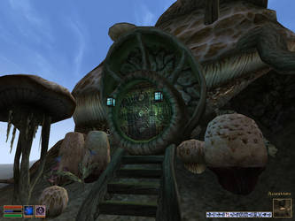 Morrowind House