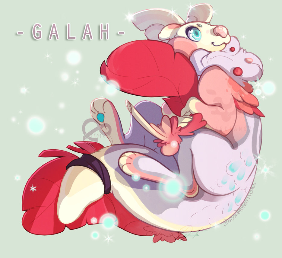 G1- 124 Galah