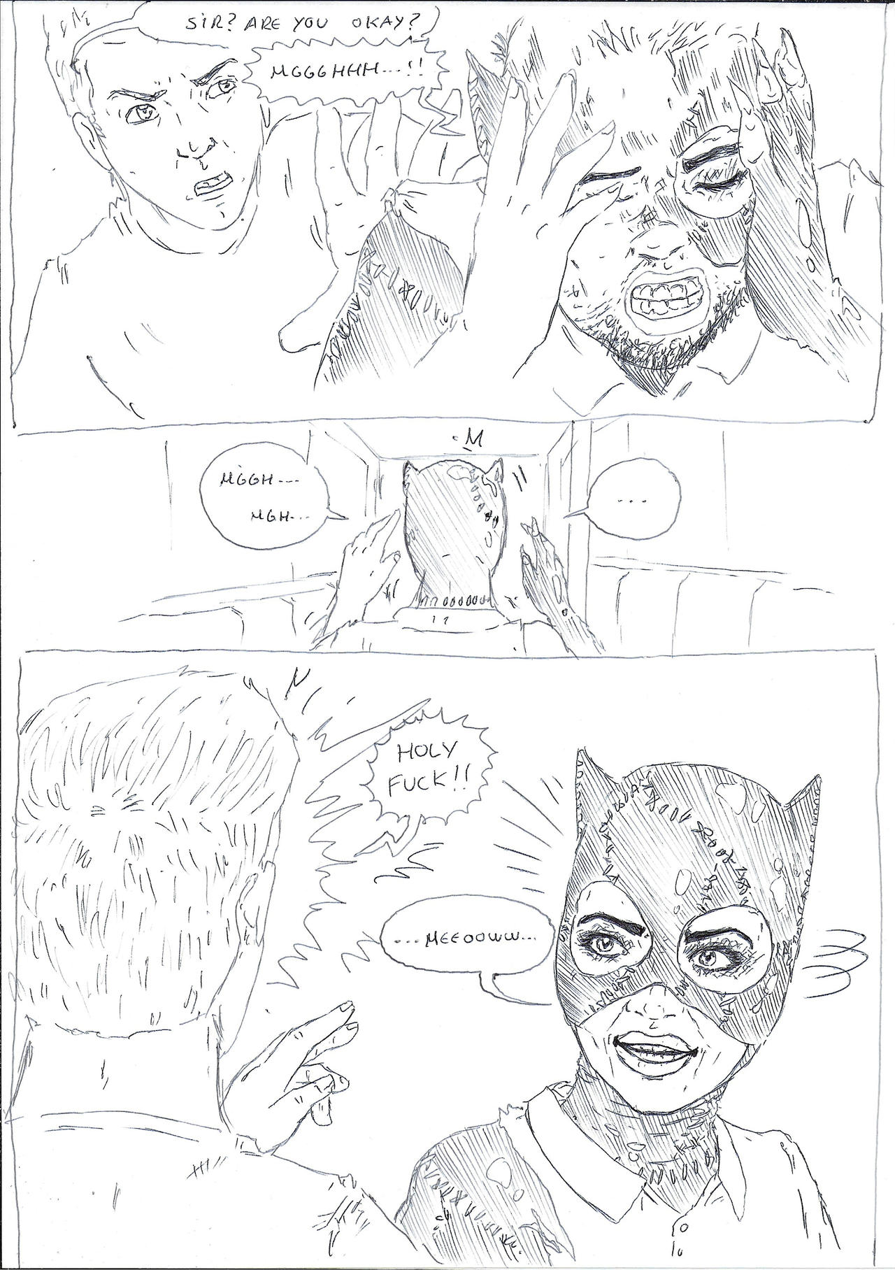 Catwoman Tg Situation Concep By Dastanprince On Deviantart 