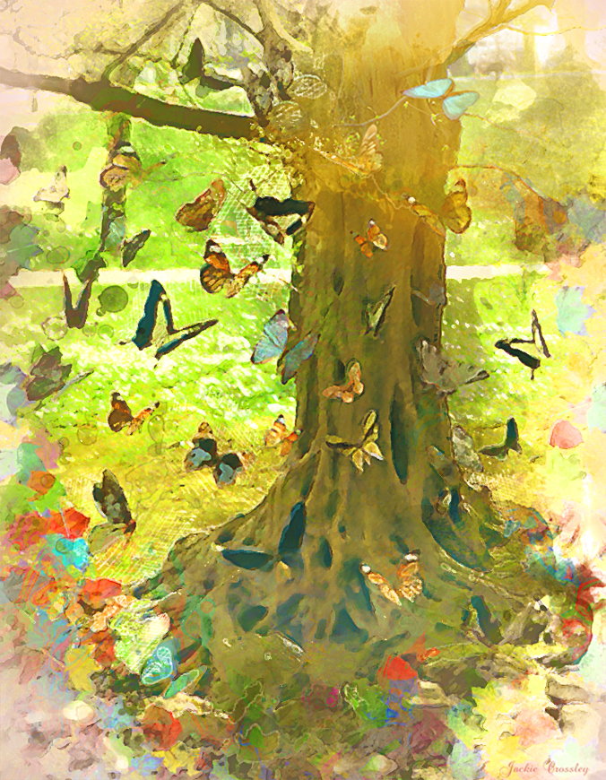 The Butterfly Tree