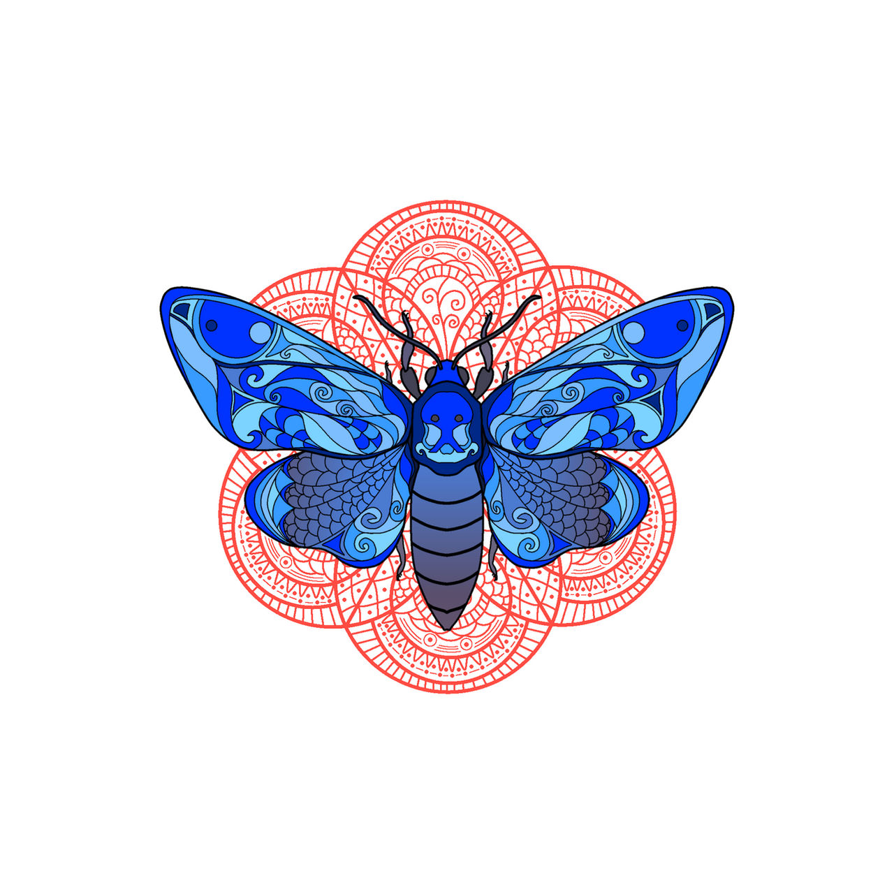 Moth Patterns Blue Blue moth by lenimski on DeviantArt