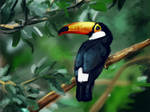 Tropical Bird 1