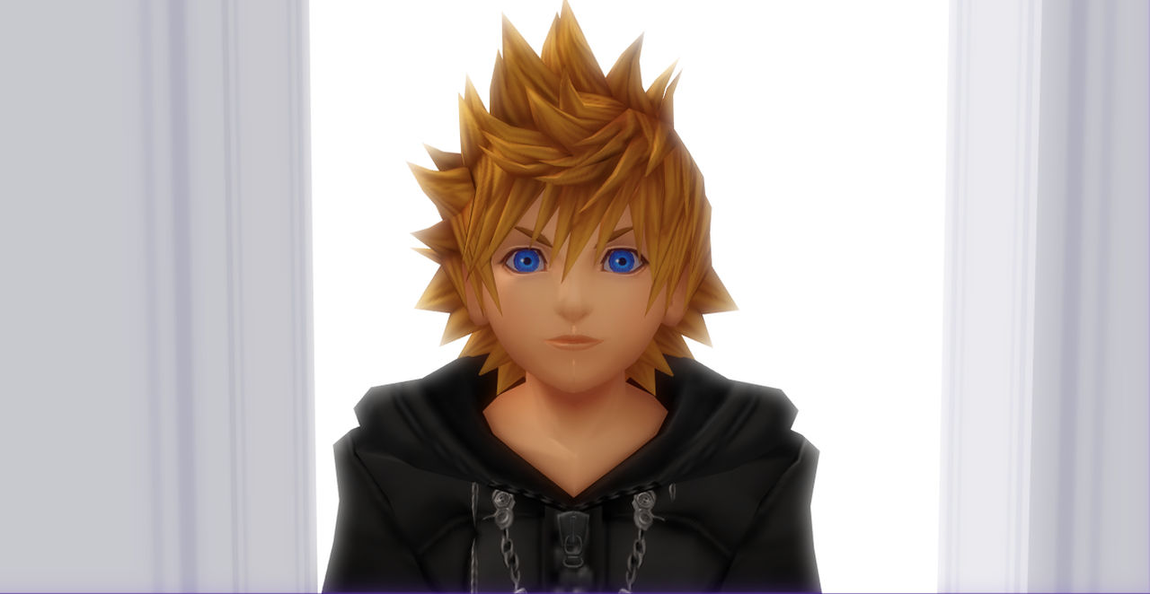 Welcome,Number 13,Roxas....The Keyblade Chosen one