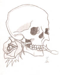 Skull 'n Rose