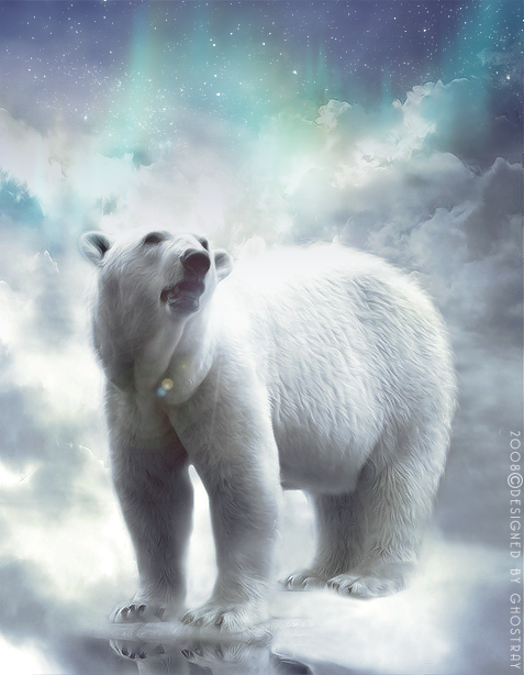 polar bear