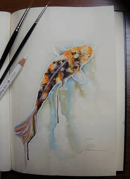 Koi Painting - DailySketch