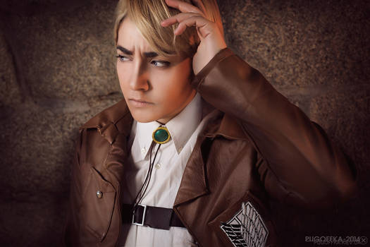 Attack on Titan: Erwin Smith