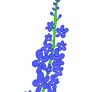 Draw a Flora - Larkspur