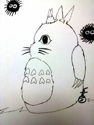 Totoro ^^