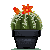 Small Yellow Barrel Cactus by Sindonic