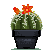 small_yellow_barrel_cactus_by_sindonic_d7hzwo0-fullview.png