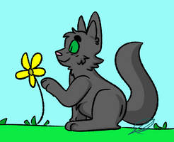 Flower Cat