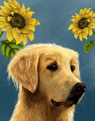 Golden Retriever commission