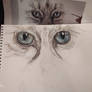 Progress cats eyes in Prismacolor pencils 