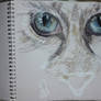Cats eyes in Prismacolor pencils 