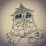 house turtle