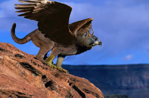 Gryphon