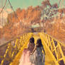 Off to wonderland'