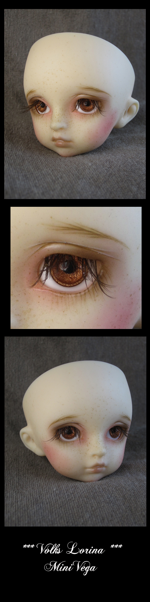 [VOLKS Lorina face-up]