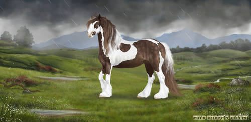 'Stormy' for Wild Horses Valley (FREE horse game) by SundaysPony
