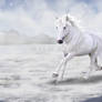 Ice Horse for Wild Horses Valley